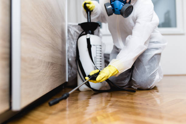 Best Residential Pest Control  in Mount Hermon, CA
