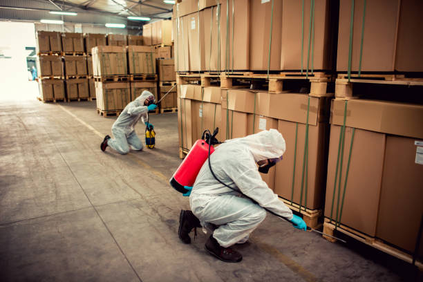 Wasp Removal Services in Mount Hermon, CA