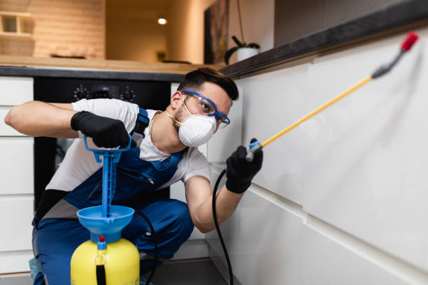 Best Pest Prevention Services  in Mount Hermon, CA