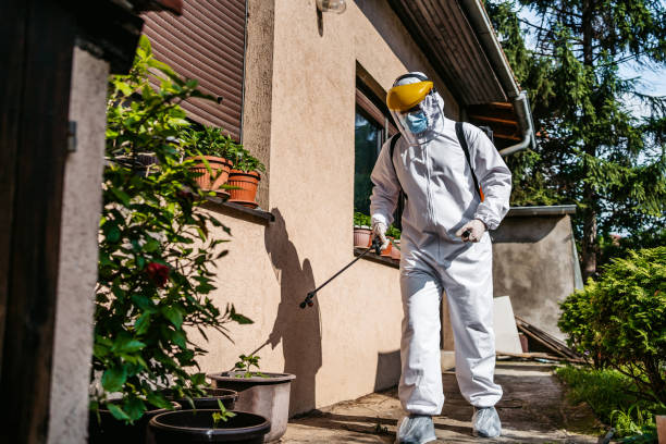 Reliable Mount Hermon, CA Pest Control Solutions