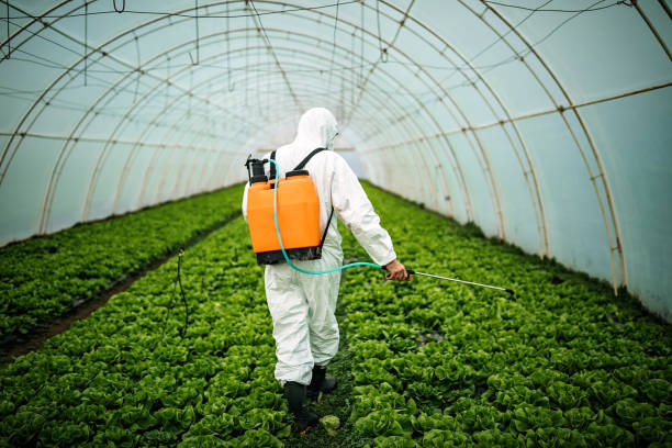 Best Affordable Pest Control Services  in Mount Hermon, CA