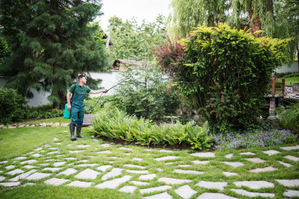 Best Emergency Pest Control  in Mount Hermon, CA