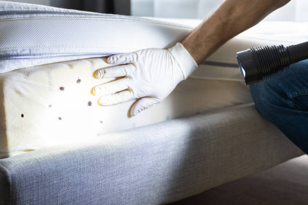 Best Pest Inspection Near Me  in Mount Hermon, CA
