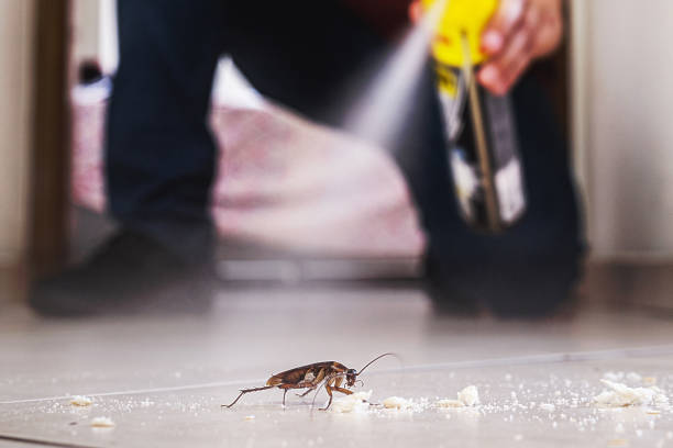 Best Pest Removal Services  in Mount Hermon, CA
